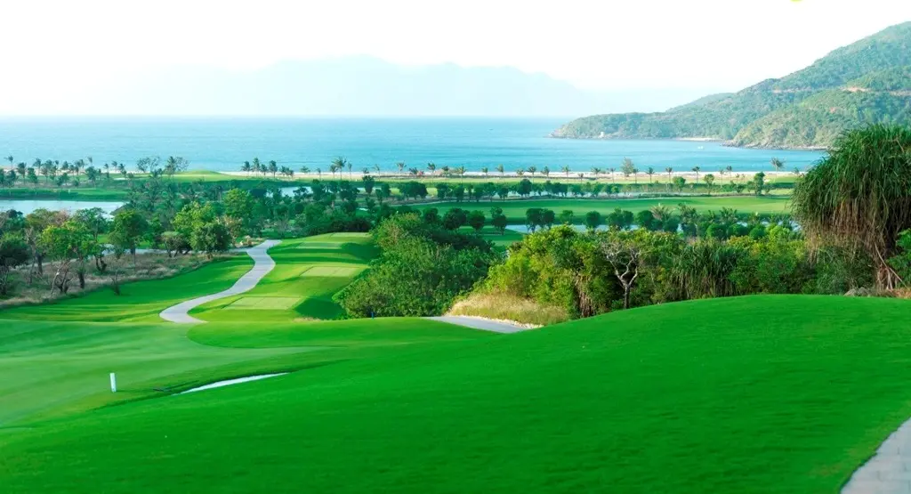 빈펄CC 최고급 잔디인 벤트그라스 양잔디